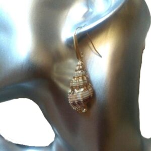 Shell earrings golden silver stainless steel